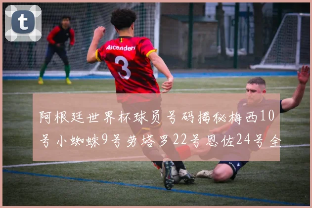 阿根廷世界杯球员号码揭秘梅西10号小蜘蛛9号劳塔罗22号恩佐24号全解析