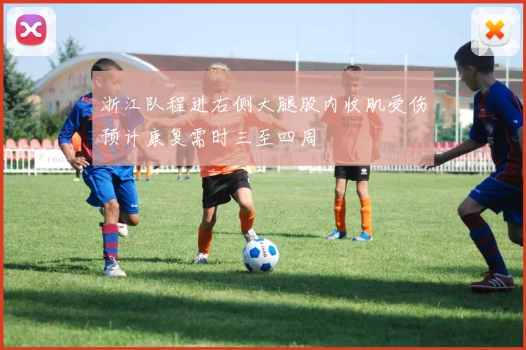 浙江队程进右侧大腿股内收肌受伤预计康复需时三至四周
